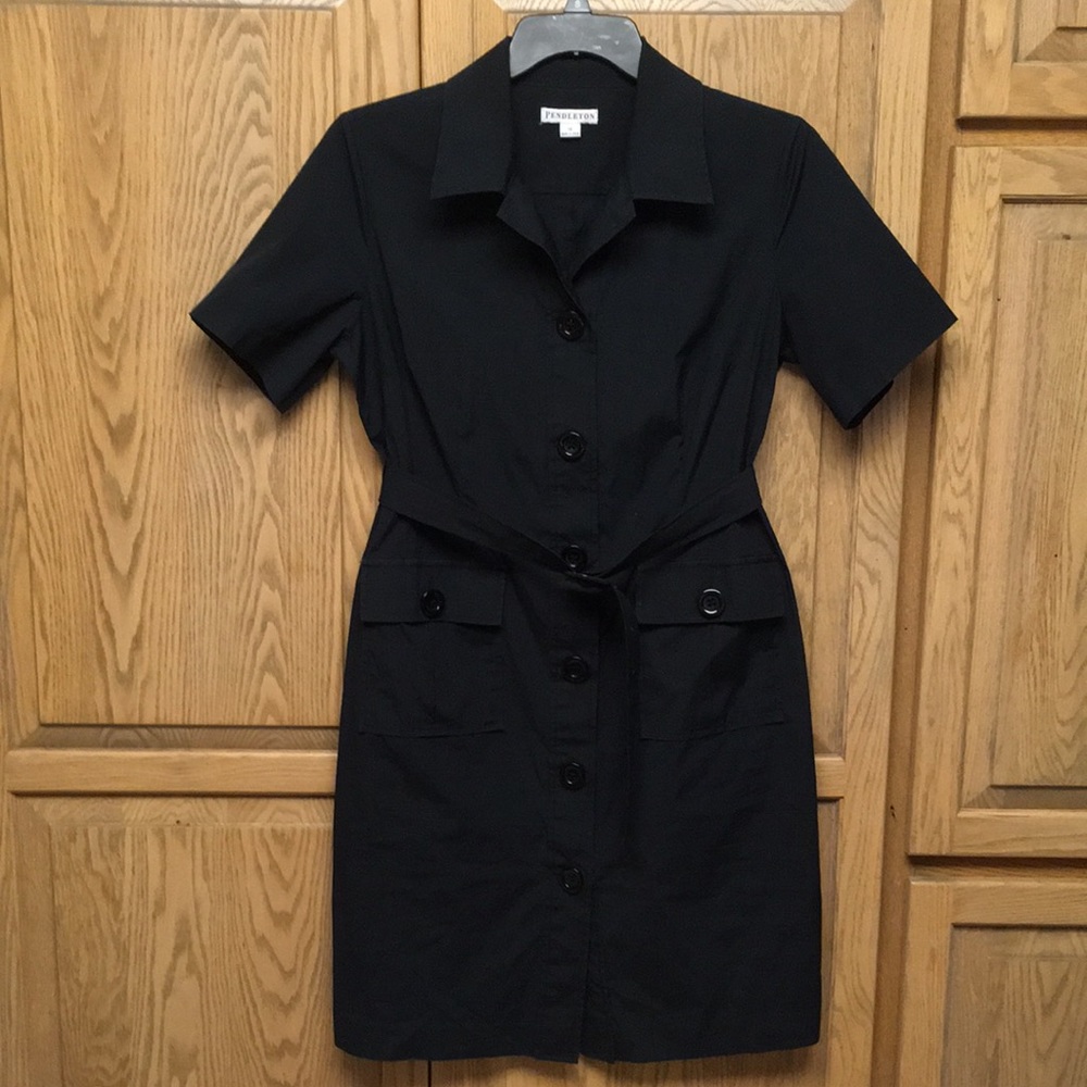 Pendleton Short Sleeve Button Down Business Dress - image 1